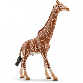 Schleich - World of Nature - Wild Life - Afrika - Giraffenbulle