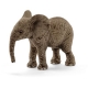 Schleich - World of Nature - Wild Life - Afrika - Afrikanisches Elefantenbaby