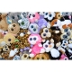 Ty Plüsch - Beanie Boos  - Husky Slush 15 cm