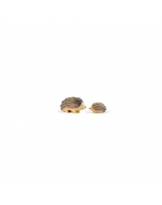 Igel