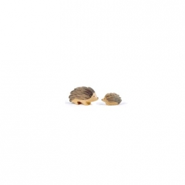 Igel