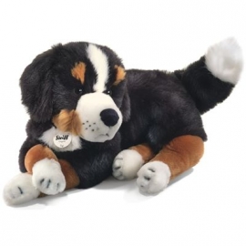 Steiff - Senni Berner Sennenhund, schwarz/braun/weiß