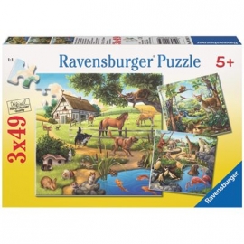 Ravensburger Puzzle - Wald-/Zoo-/Haustiere, 3 x 49 Teile