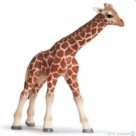 Schleich - World of Nature - Wild Life - Afrika - Giraffenbaby
