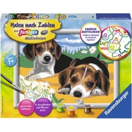 Ravensburger Spiel - Malen nach Zahlen mit farbigen Motivlinien - Jack Russel Welpen