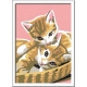 Ravensburger Spiel - Malen nach Zahlen mit farbigen Motivlinien - Katzenbabys