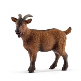 Schleich - World of Nature - Farm World - Ziege