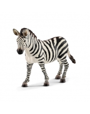 Zebra Stute