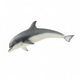 Delfin