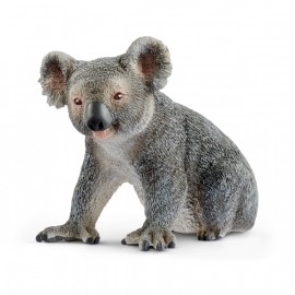 Koalabär