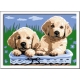 Ravensburger Spiel - Malen nach Zahlen Junior - Süße Hundewelpen