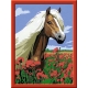 Ravensburger Spiel - Malen nach Zahlen - Haflinger