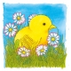 Schichtenpuzzle Das Huhn