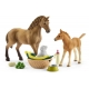Schleich - Horse Club - Sarahs Tierbaby-Pflege