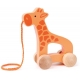 Hape - Nachzieh-Giraffe