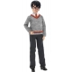 Mattel - Harry Potter und Die Kammer des Schreckens Harry Potter Puppe