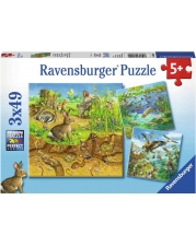 Ravensburger Spiel - Tiere in Lebensräumen, 3x49 Teile