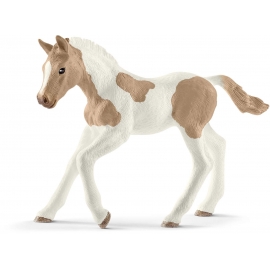 Schleich - Horse Club - Paint Horse Fohlen