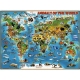 Ravensburger Puzzle - Tiere rund um die Welt, 300 Teile XXL