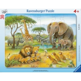 Ravensburger 061464 Puzzle Dschungeltiere 30-48 Teile