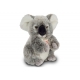 Teddy Hermann Koalabär, 21cm