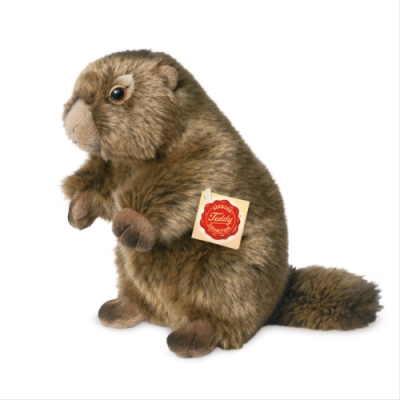 Teddy Hermann Murmeltier, ca. 20 cm