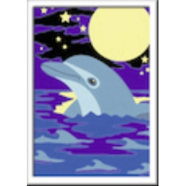 Ravensburger 276943 Malen nach Zahlen Kleiner Delfin