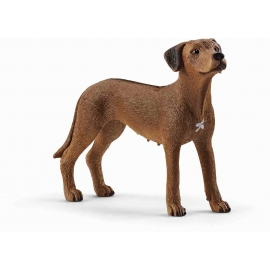 Schleich - Farm World - Rhodesian Ridgeback