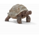 Schleich - Wild Life - Riesenschildkröte