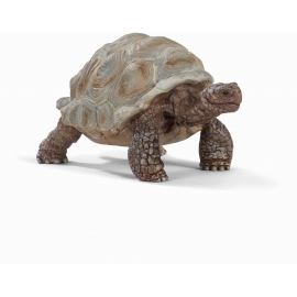 Schleich - Wild Life - Riesenschildkröte