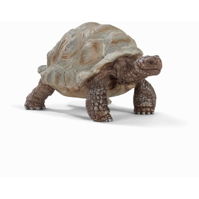 Schleich - Wild Life - Riesenschildkröte
