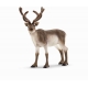 Schleich - Wild Life - Rentier