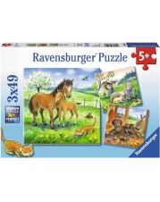 Ravensburger Puzzle - Tiere illustriert, 3x49 Teile
