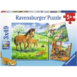 Ravensburger Puzzle - Tiere illustriert, 3x49 Teile