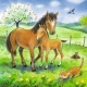 Ravensburger Puzzle - Tiere illustriert, 3x49 Teile
