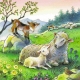 Ravensburger Puzzle - Tiere illustriert, 3x49 Teile