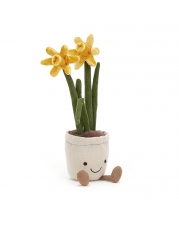 Amuseable Daffodil