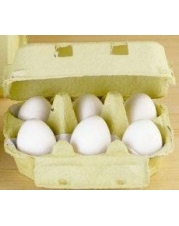 Eier, weiß (6er-Pack)