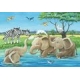 Ravensburger 05095 Puzzle Tierkinder aus aller Welt