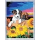 Ravensburger 28765 Welpen im Sonnenuntergang
