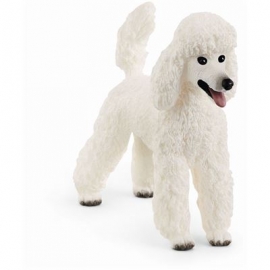 Schleich - Farm World - Pudel