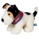 Foxterrier Boomer Lustige Tierparade