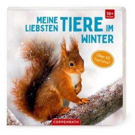 Coppenrath Verlag - Meine liebsten Tiere im Winter