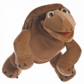 Sammy die Schildkröte
