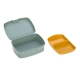 Lunchbox Avdenture Bus
