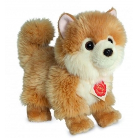 Teddy-Hermann - Zwergspitz, 22 cm