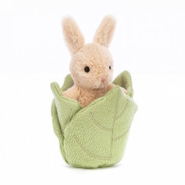 Poppin Bunny