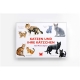 Laurence King Verlag - Katzen un