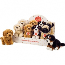 Teddy-Hermann - Hunde sitzend 4-