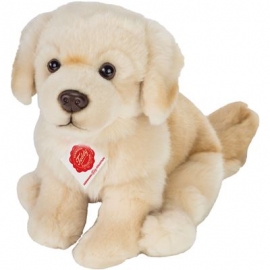 Teddy-Hermann - Golden Retriever